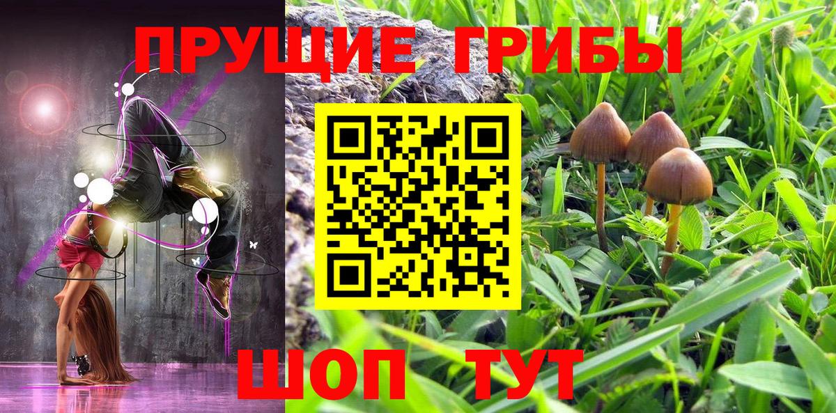 Галлюциногенные грибы Psilocybe  Вход с VPN  даркнет сайт  Алапаевск 